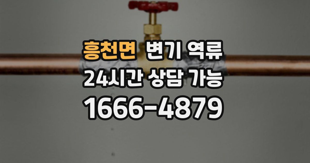 흥천면 변기 역류