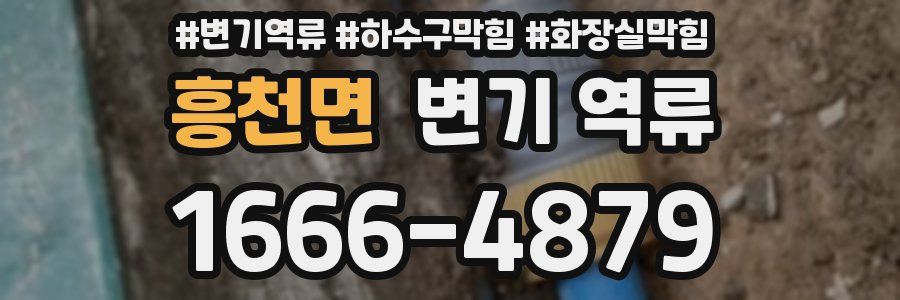 흥천면 변기 역류