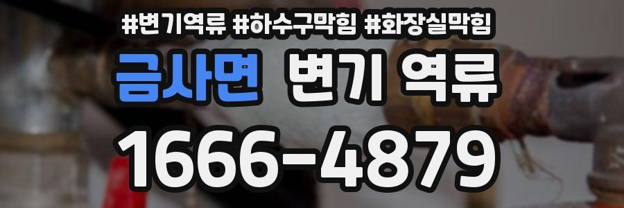 금사면 변기 역류