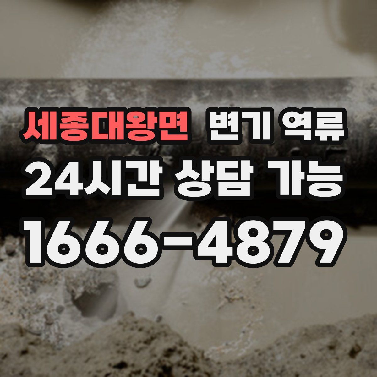 세종대왕면 변기 역류