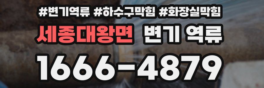 세종대왕면 변기 역류