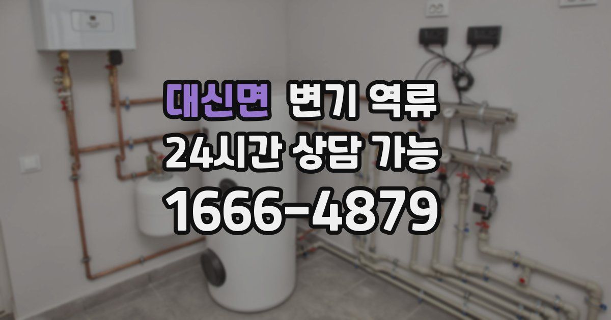 대신면 변기 역류