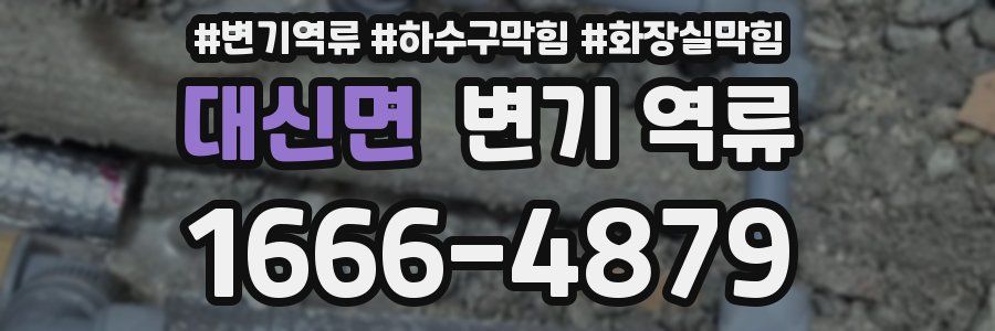 대신면 변기 역류