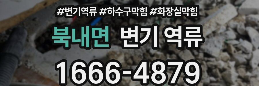 북내면 변기 역류