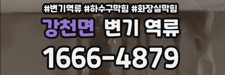 강천면 변기 역류