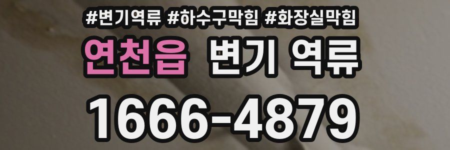 연천읍 변기 역류