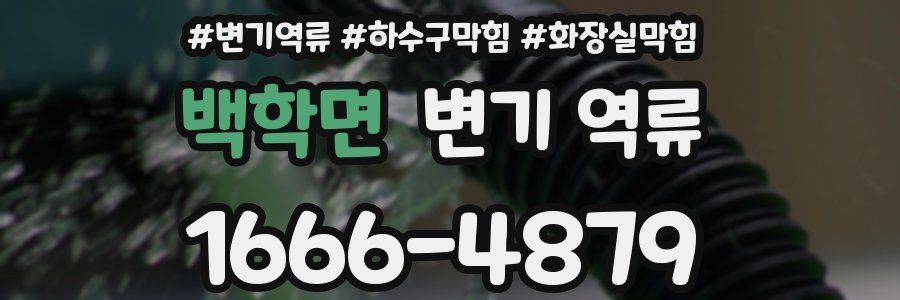 백학면 변기 역류