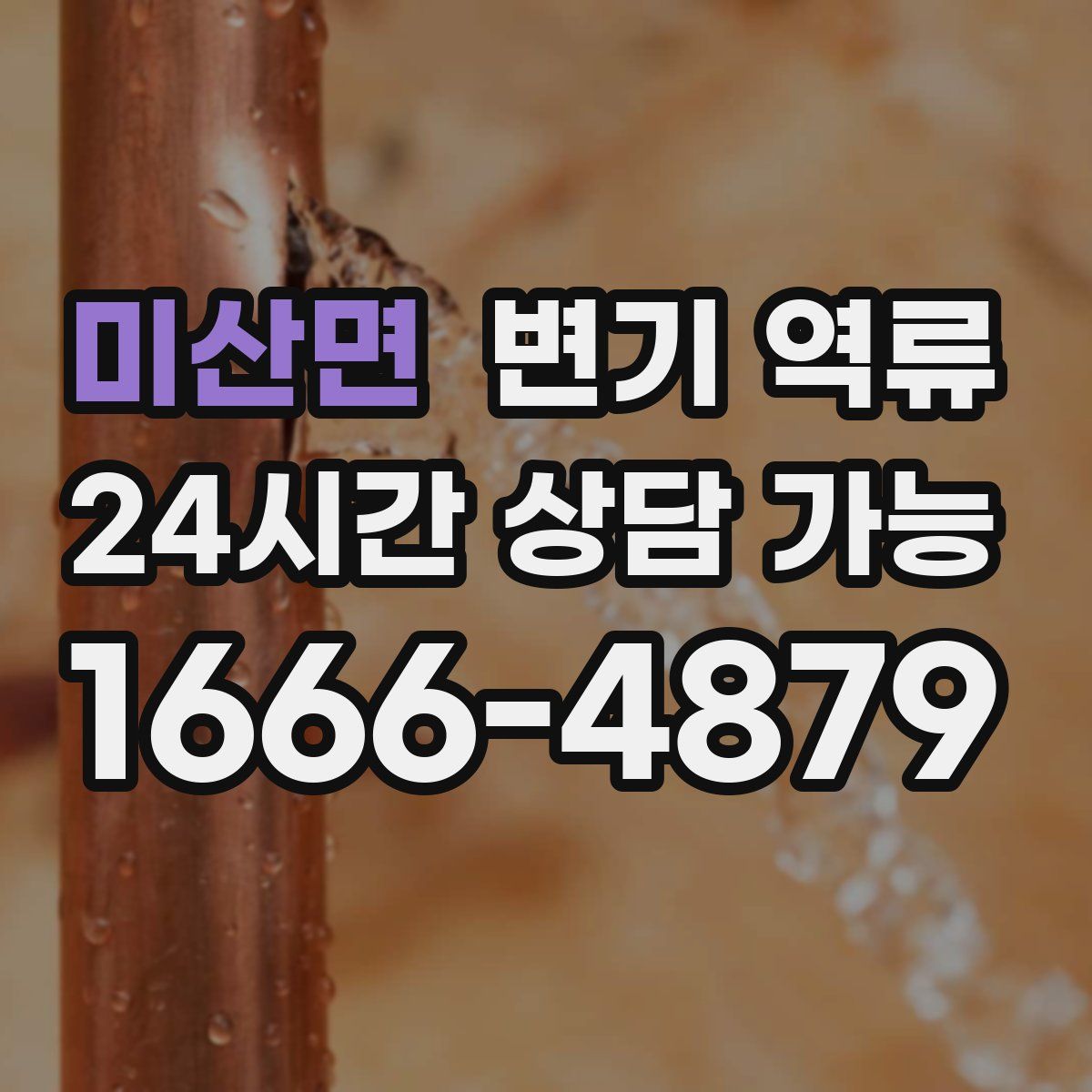 미산면 변기 역류