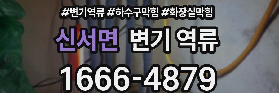 신서면 변기 역류