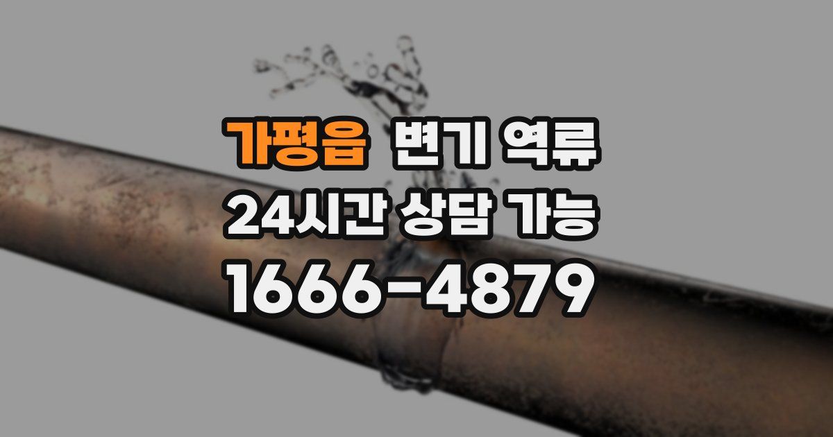 가평읍 변기 역류