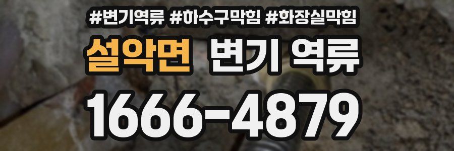 설악면 변기 역류