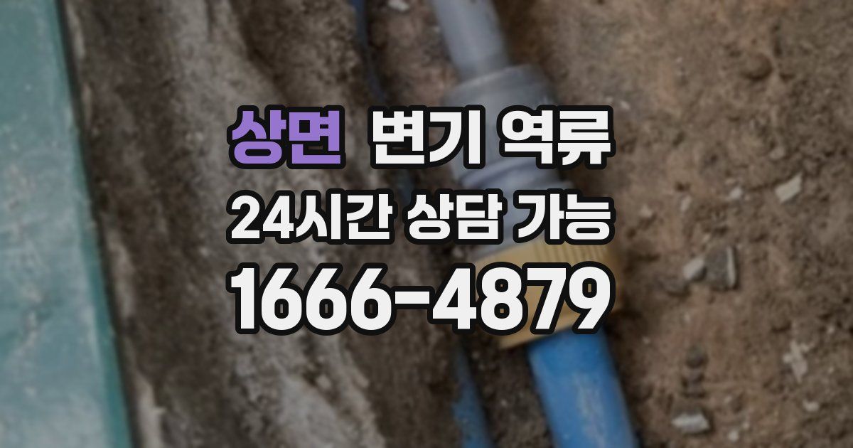 상면 변기 역류