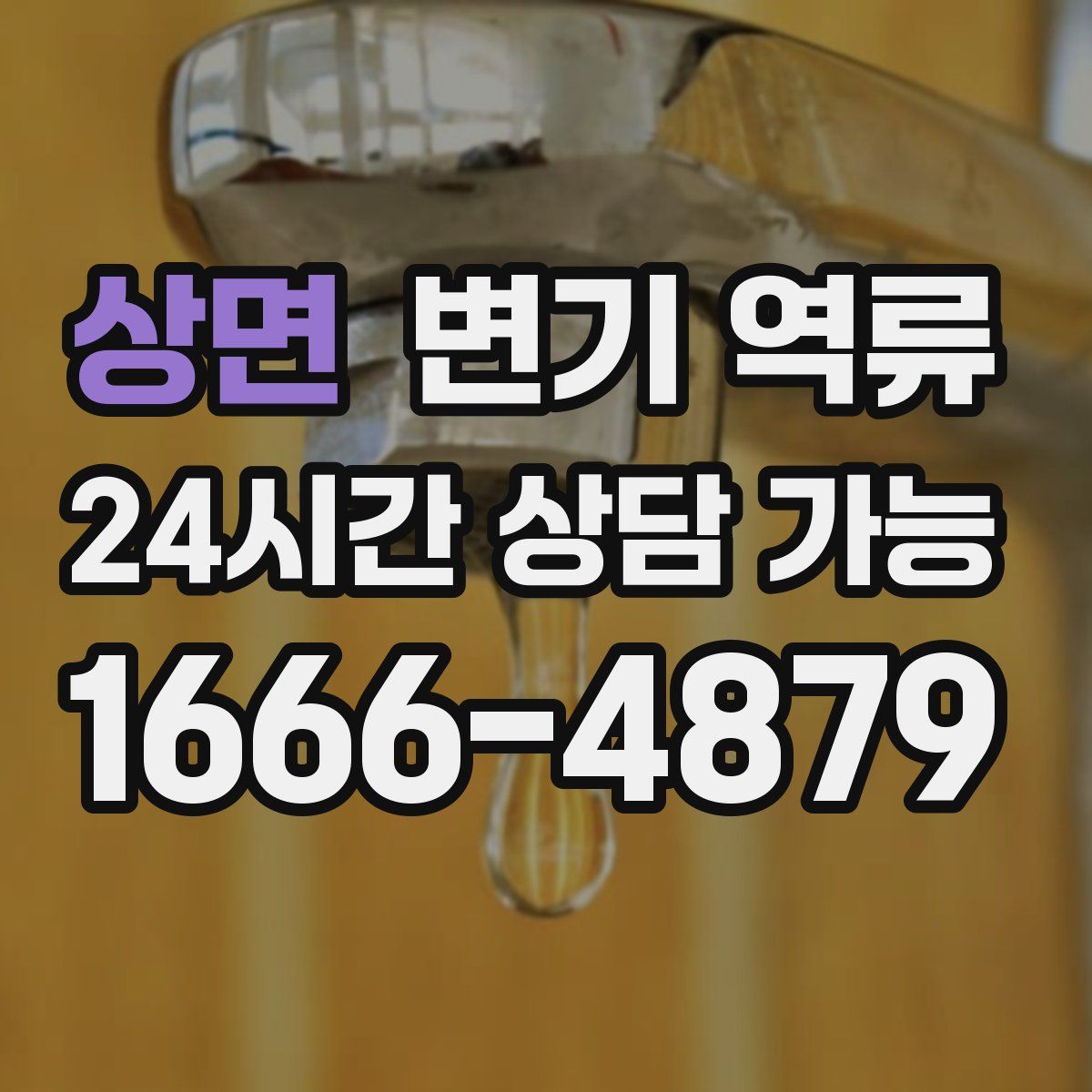 상면 변기 역류