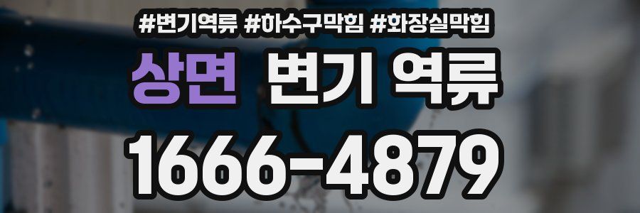 상면 변기 역류