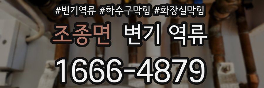 조종면 변기 역류