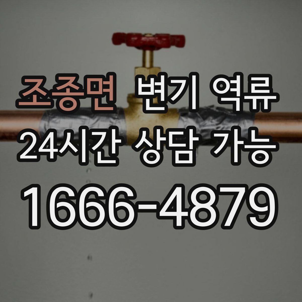 조종면 변기 역류