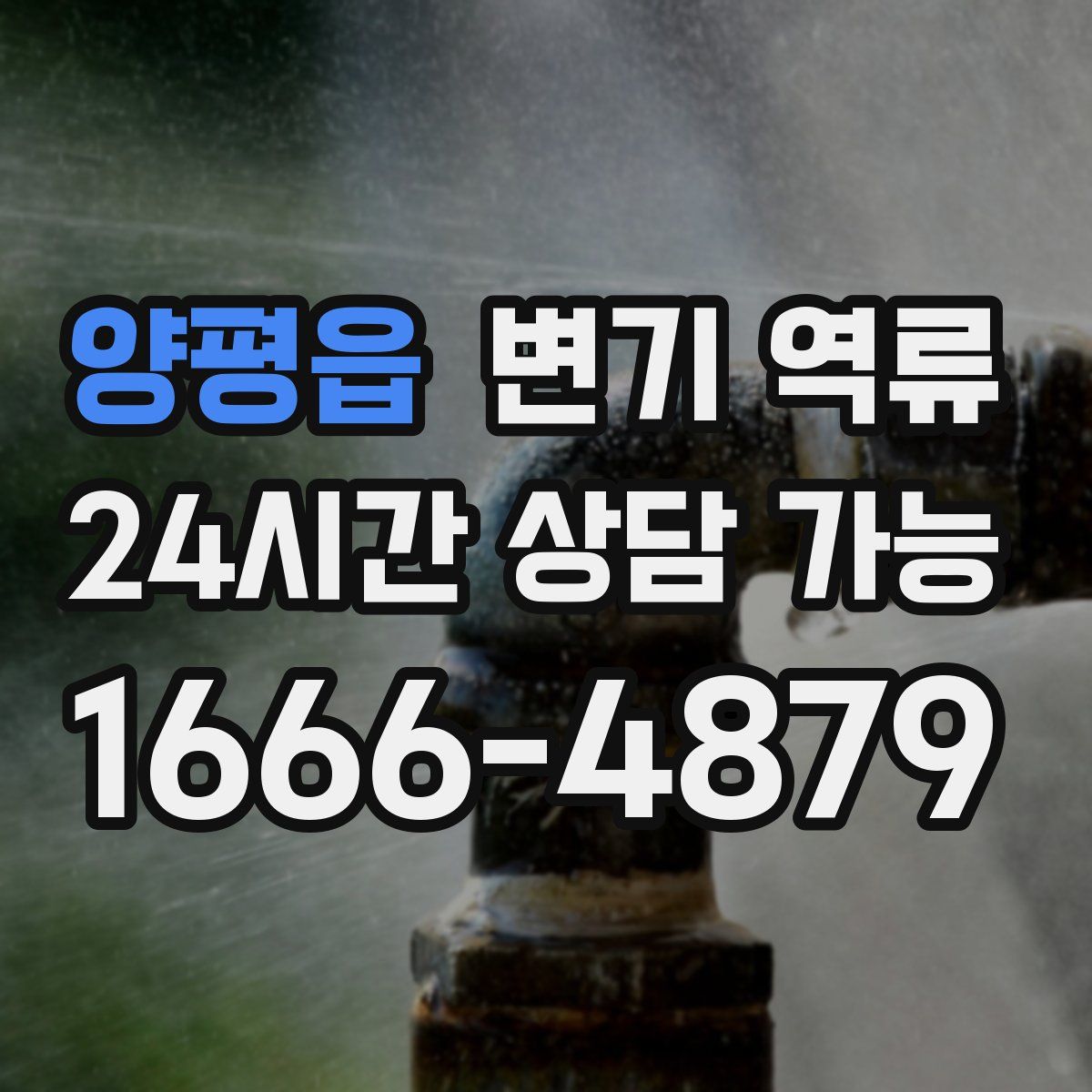 양평읍 변기 역류