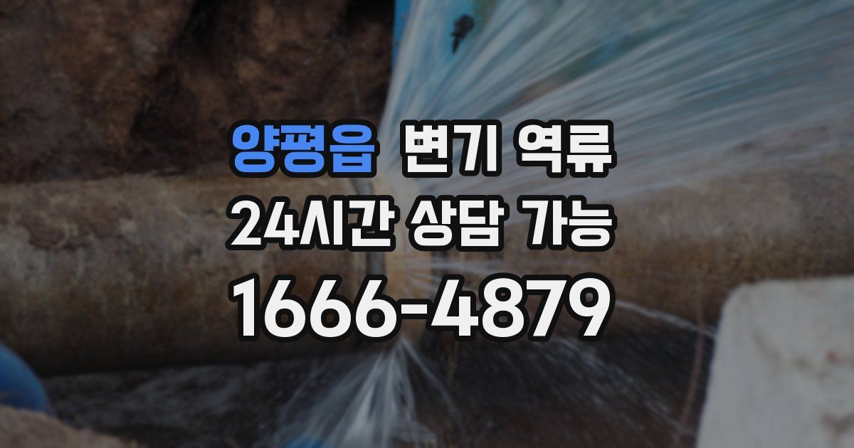 양평읍 변기 역류