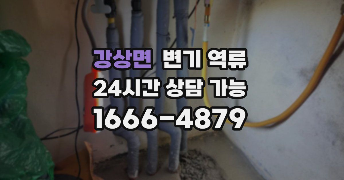 강상면 변기 역류