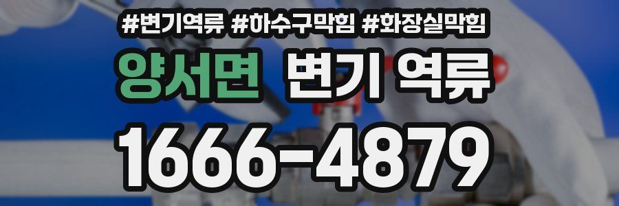 양서면 변기 역류