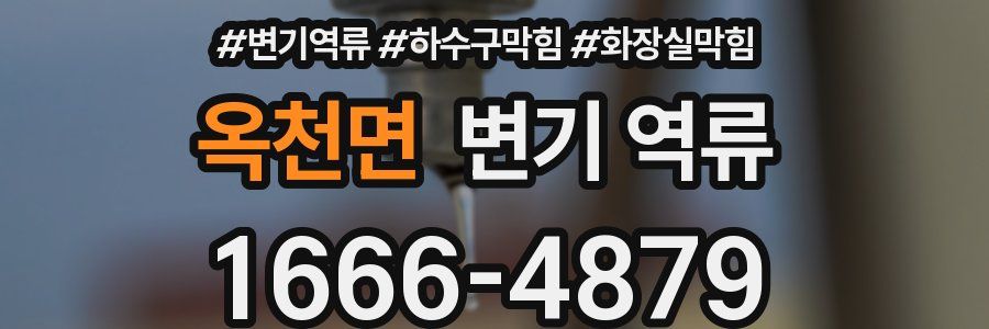 옥천면 변기 역류