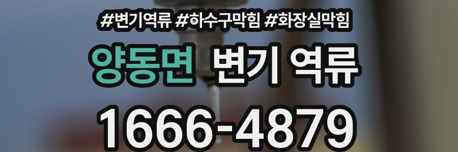 양동면 변기 역류