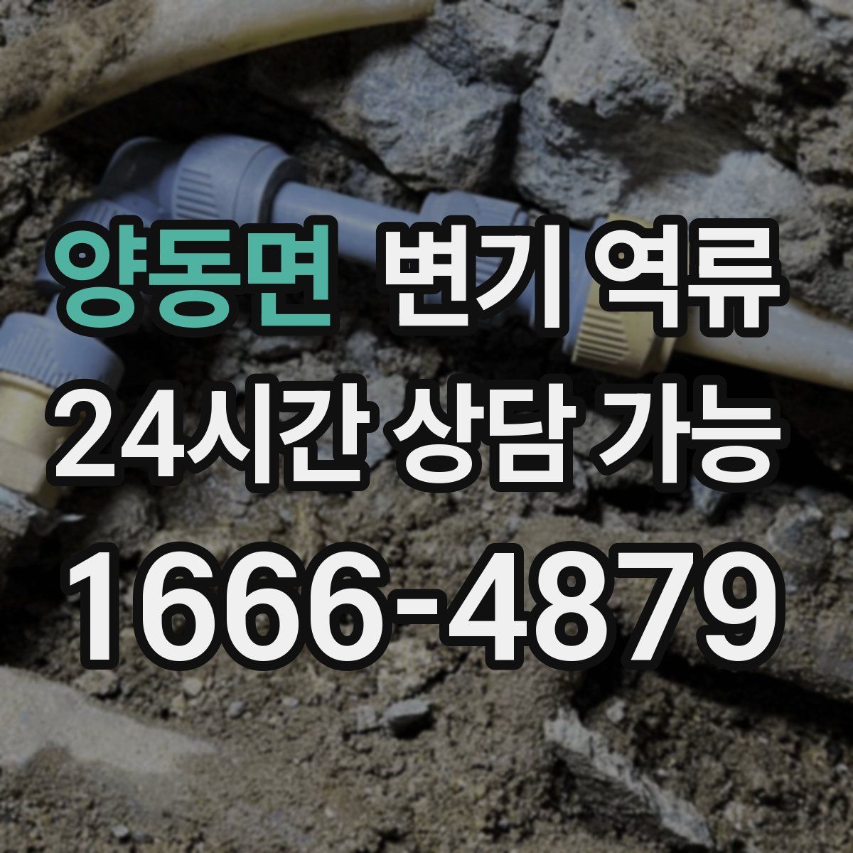 양동면 변기 역류