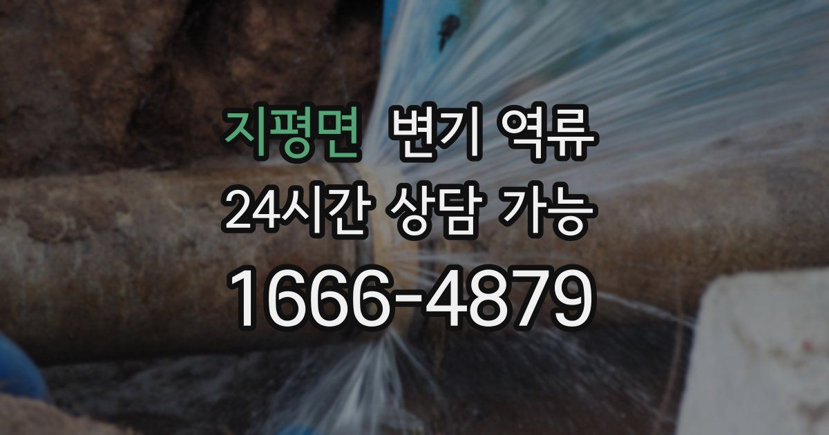 지평면 변기 역류