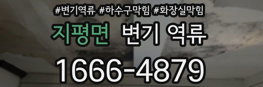 지평면 변기 역류