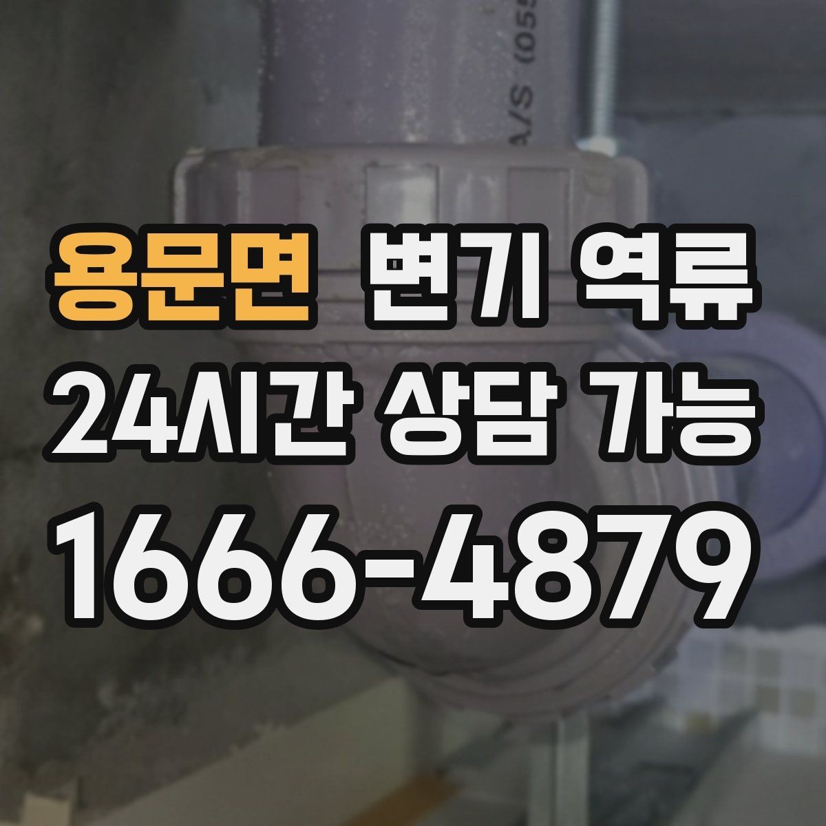 용문면 변기 역류 오염수가 섞이면 위험한 이유