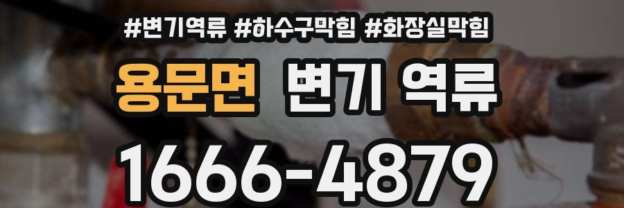 용문면 변기 역류