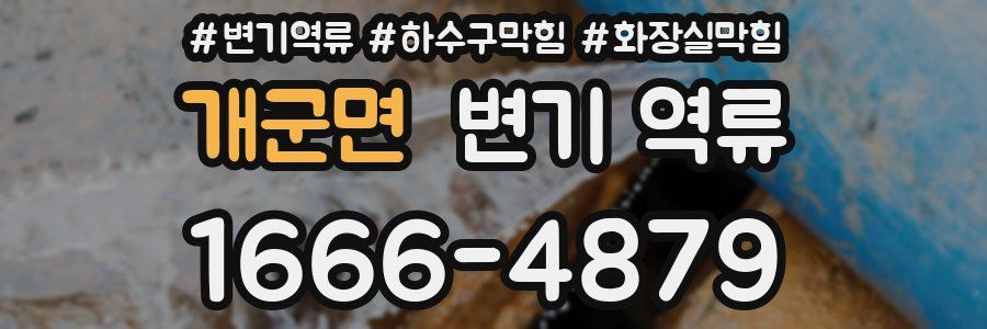 개군면 변기 역류