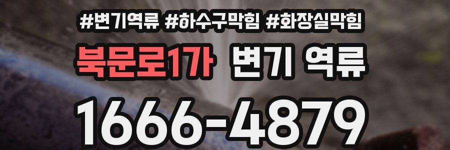 북문로1가 변기 역류