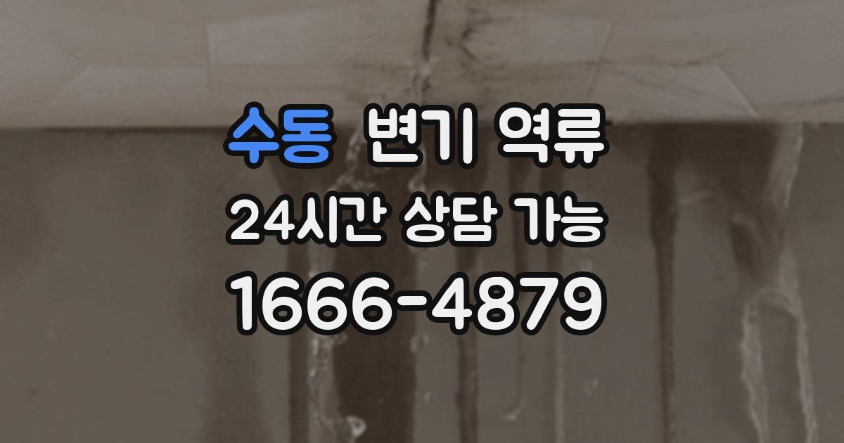 수동 변기 역류