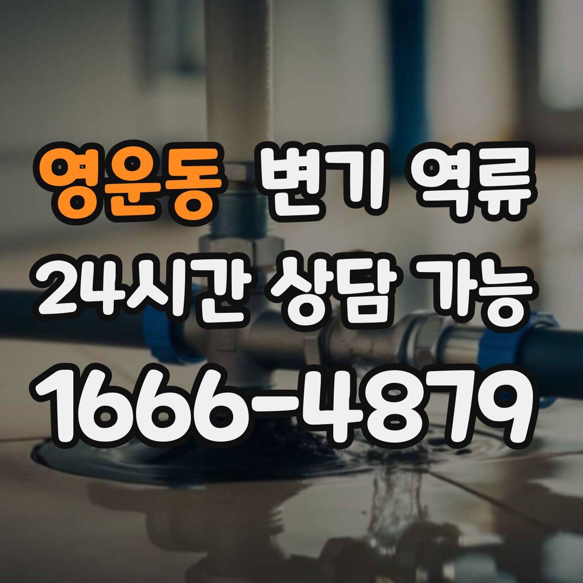 영운동 변기 역류