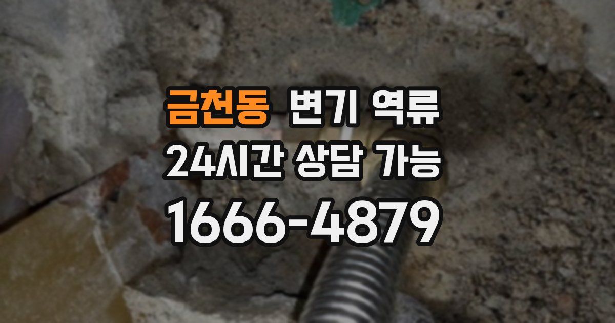 금천동 변기 역류