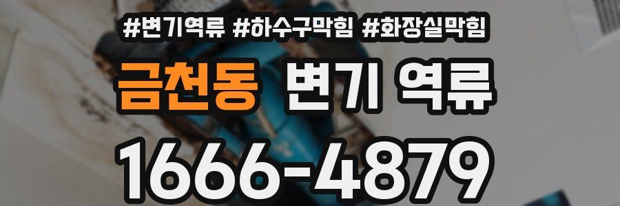 금천동 변기 역류