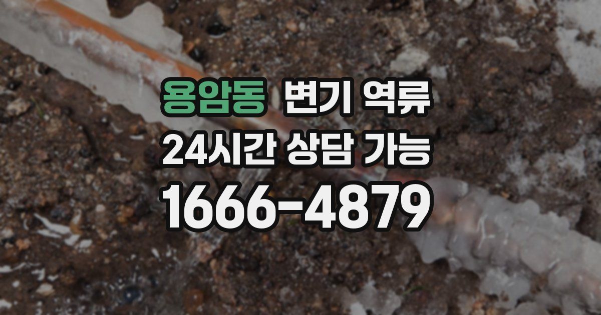 용암동 변기 역류