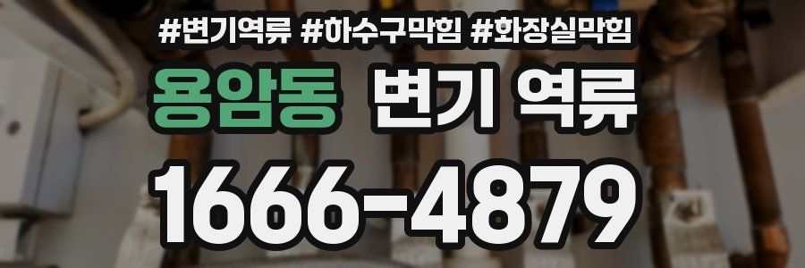 용암동 변기 역류