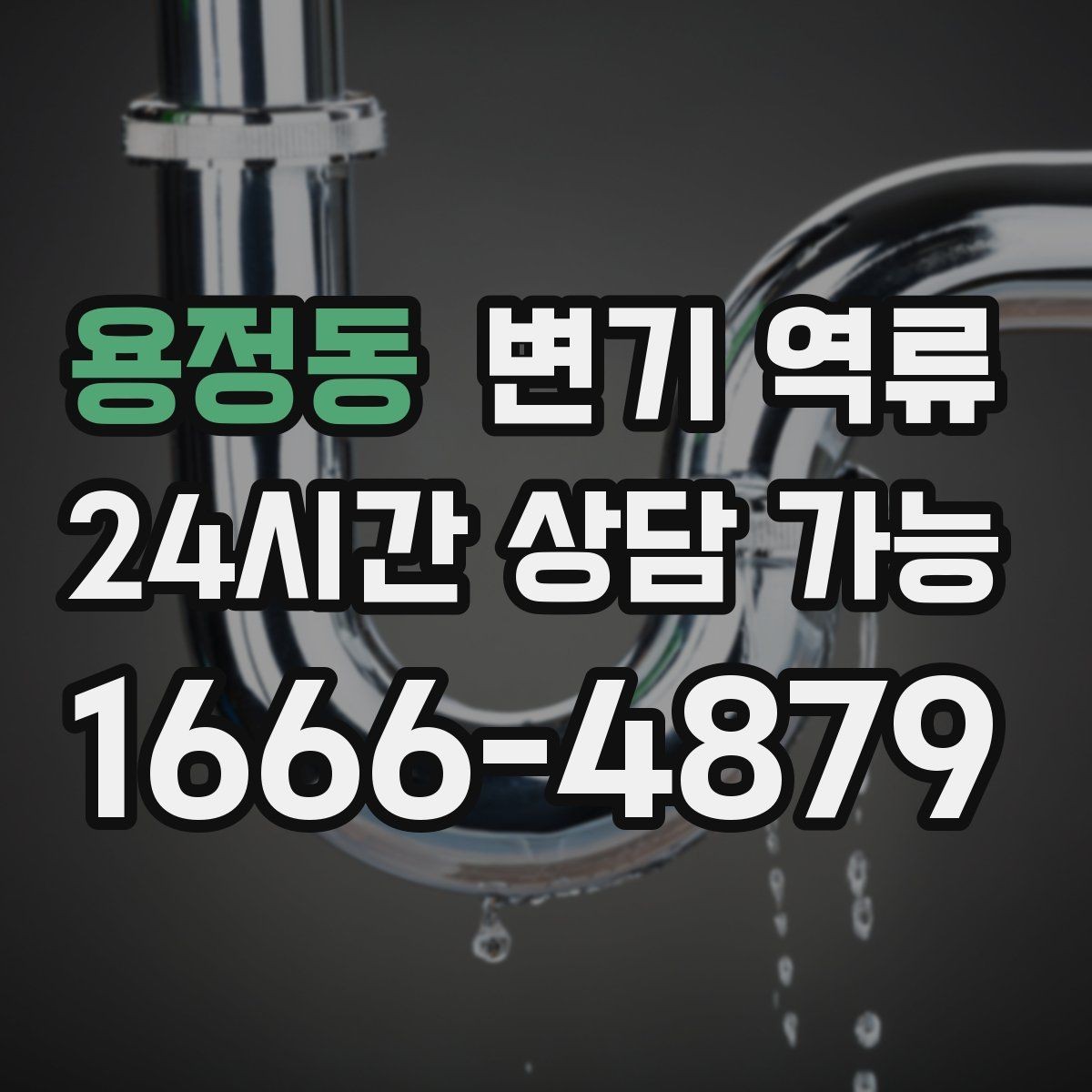 용정동 변기 역류 타일 줄눈이 오염에 취약한 이유