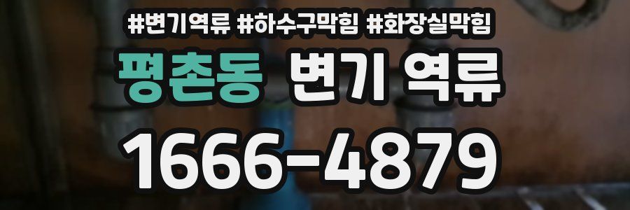 평촌동 변기 역류