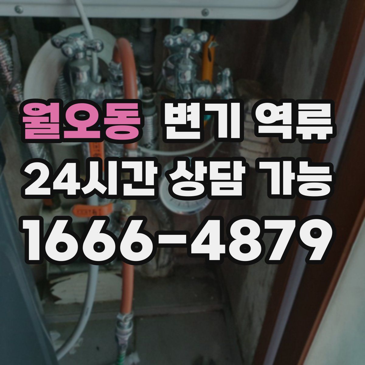 월오동 변기 역류