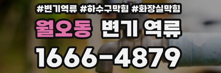 월오동 변기 역류