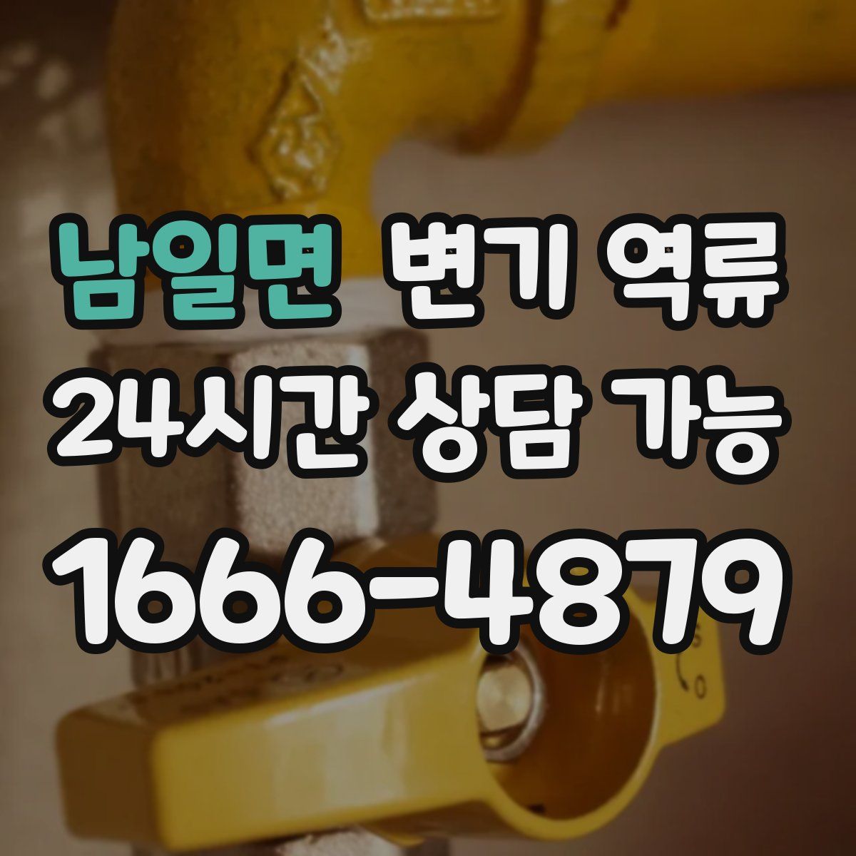 남일면 변기 역류