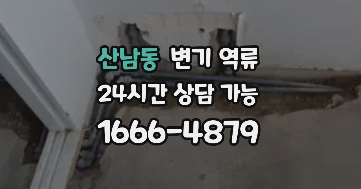 산남동 변기 역류