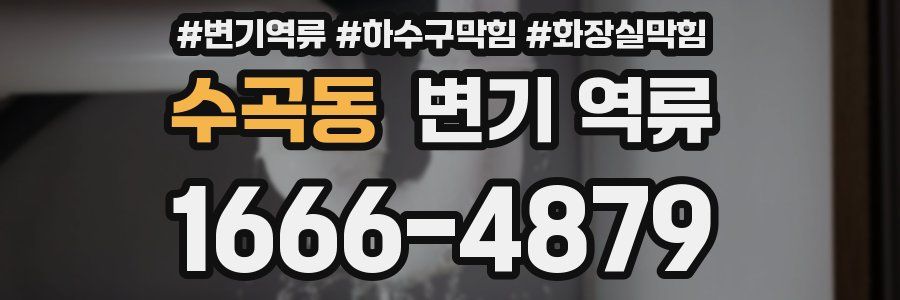 수곡동 변기 역류