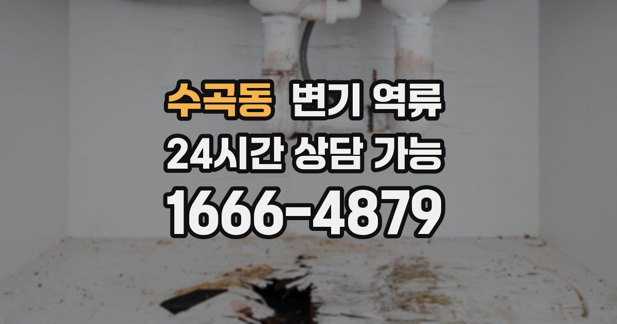 수곡동 변기 역류