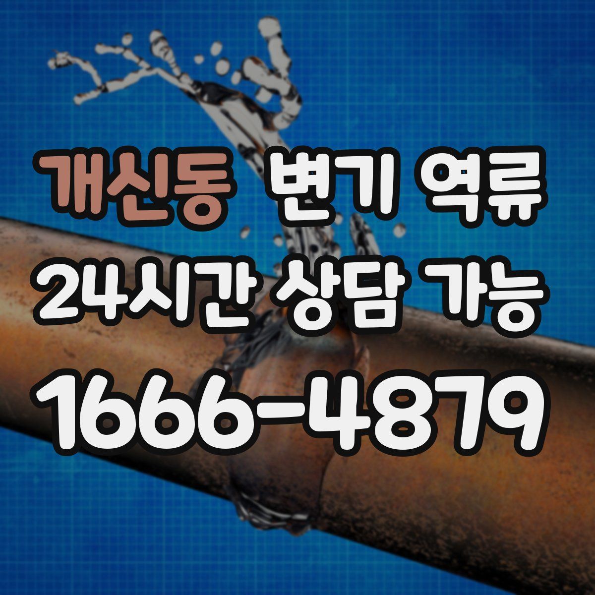 개신동 변기 역류