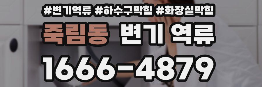 죽림동 변기 역류