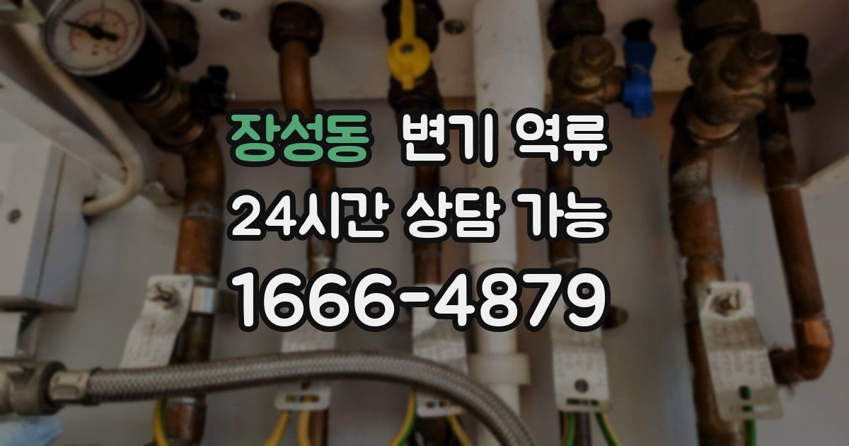 장성동 변기 역류